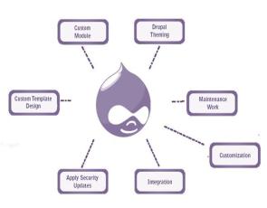 Drupal Việt Nam Tính Năng Website Tùy Chỉnh